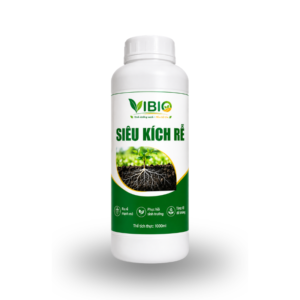 Siêu kích rễ - Tăng đề kháng, phục hồi sinh trưởng