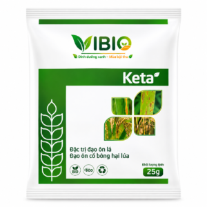 Keta - Đặc trị đạo ôn lá, đạo ôn cổ bông hại lúa