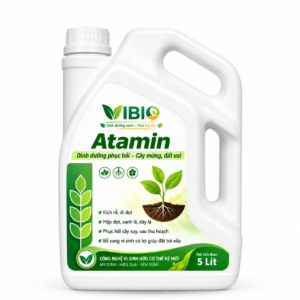 Atamin - Dinh dưỡng phục hồi, cây mừng đất vui